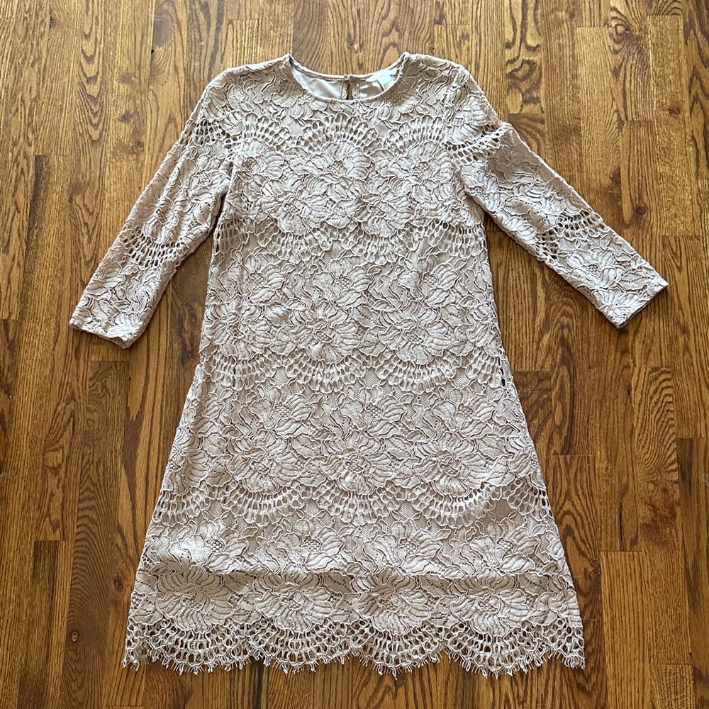 H&M Dusty Pink Floral Lace Dress- Size 6